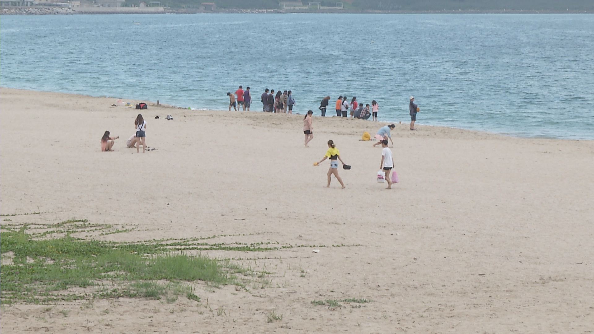 出租沙灘 我們的島