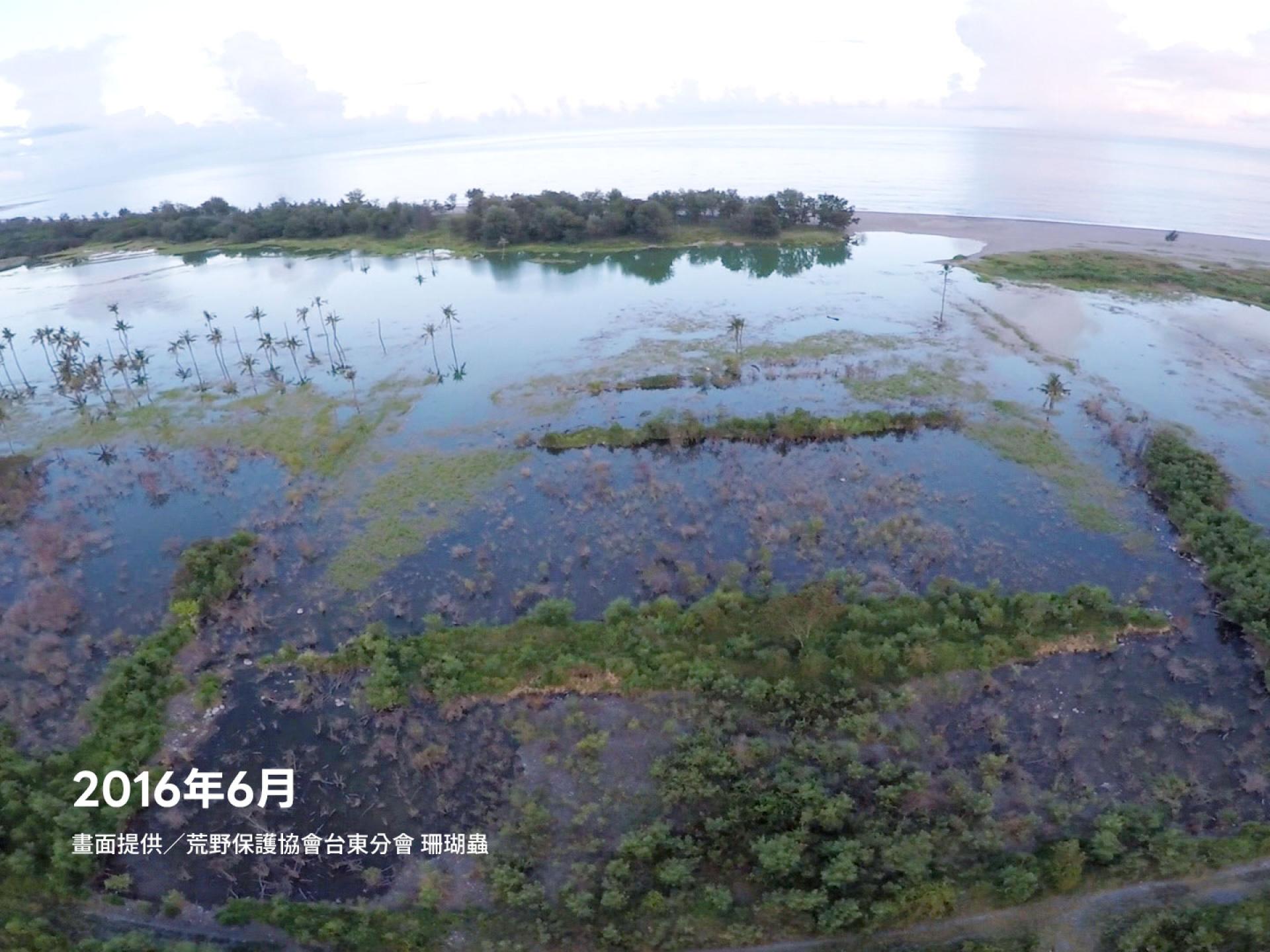 2016年6月台東知本濕地的水域面積
