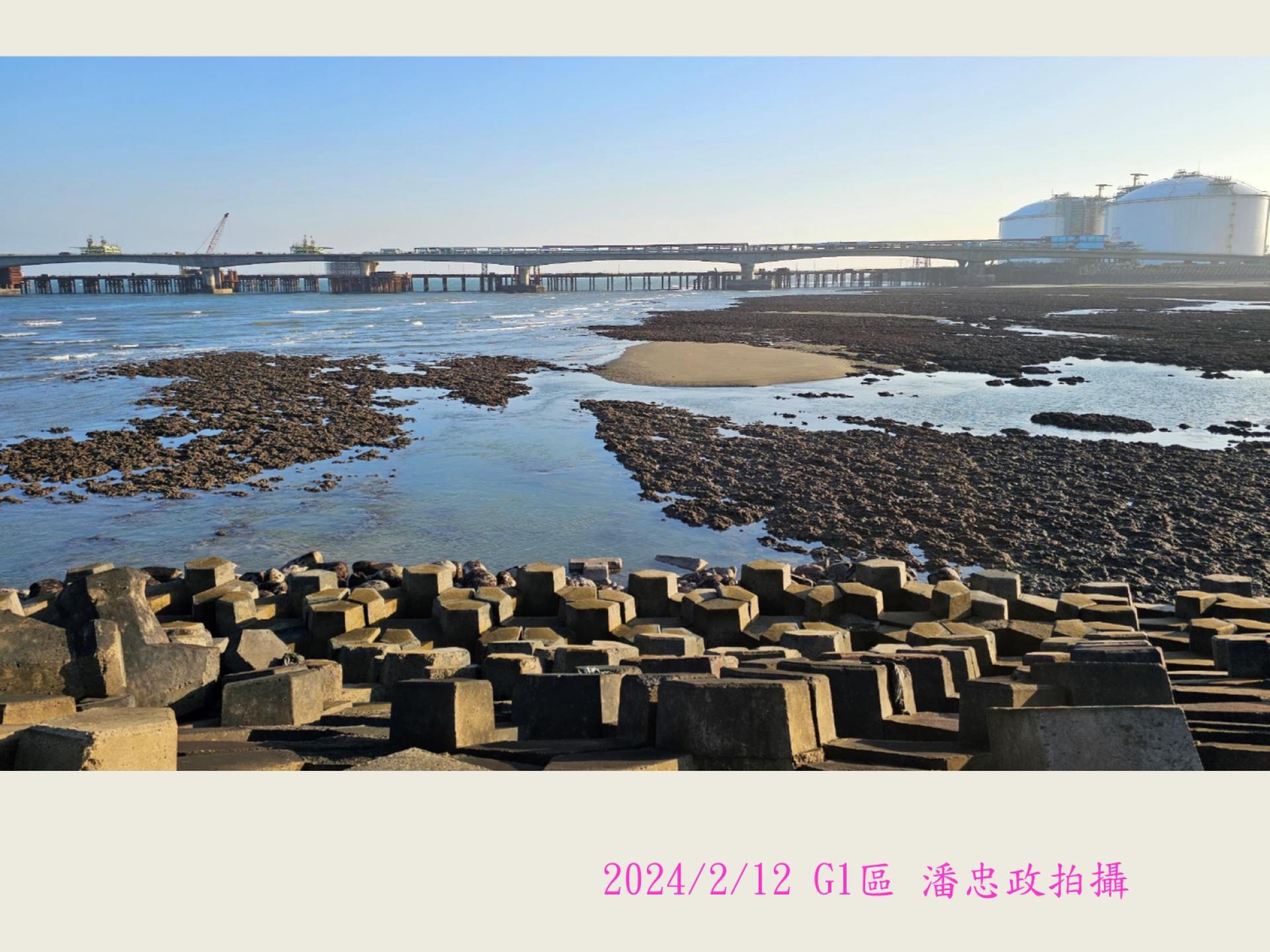 2024年藻礁