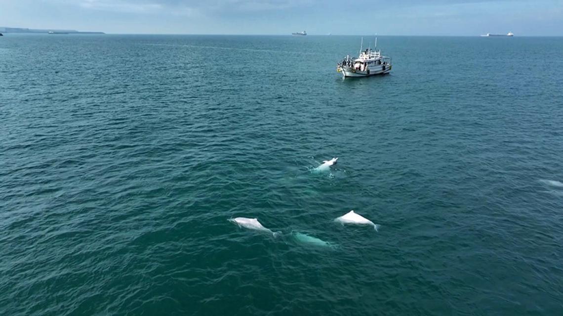 影像提供／簡毓群