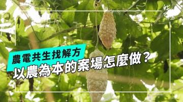 【農電共生】農加電有解嗎？打造以農為本的光電溫室｜農民、業者、政府如何看農電共生(公視我們的島 第1299集 2025-03-24)
