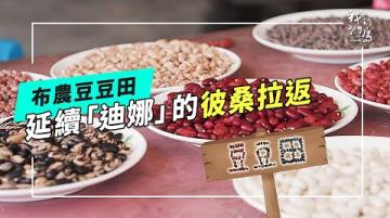 百年前的種豆文化：接傳豆豆田｜延續布農迪娜的彼桑拉返 Pisanglavan (公視我們的島 第1311集 2025-06-16)