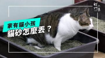 家有貓小孩，貓砂怎麼丟？ (公視我們的島 第1313集 2025-07-07)