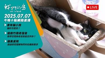 直播放映室【今晚十點 🔴LIVE】2025.6.30  公視我們的島第1313 集 播出