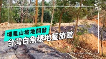 一新護白魚｜中友集團埔里農莊開發爭議(我們的島 第1246集 2024-03-11)