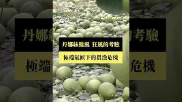 【#預告｜丹娜絲颱風：狂風的考驗】公視｜我們的島7／21(一)晚間十點 #shorts