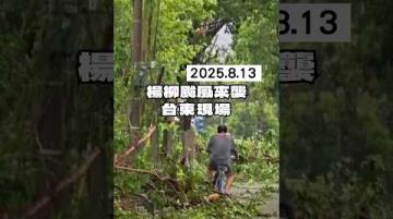 【島在現場】楊柳颱風｜2025.08.13