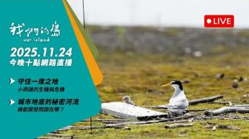 【今晚十點 🔴LIVE】2025.11.24 公視我們的島第1333集 播出