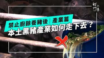 禁廚餘養豬後待解難題 產業篇：本土黑豬產業面臨生存考驗，如何轉型成關鍵(公視我們的島 第1341集 2026-01-12)
