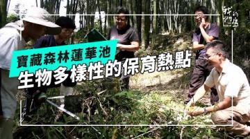 讓學習發生~寶藏森林蓮華池｜生物多樣性的保育熱點(公視我們的島 第1341集 2026-01-12)