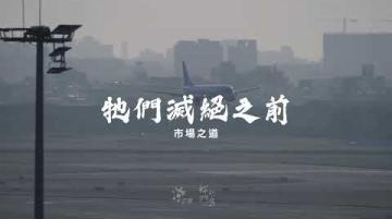 牠們滅絕之前》ep.2：市場之道｜導演廖敬堯｜公視 我們的島【短片】