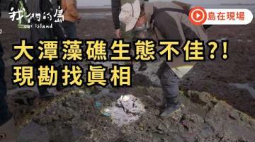 【島在現場】桃園大潭藻礁生態健康度不佳｜民間團體與中油共同現勘追真相｜2026.02.04