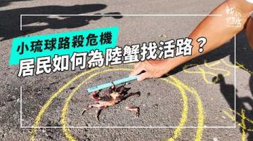 為陸蟹讓路：小琉球陸蟹的消逝與守護(公視我們的島 第1348集 2026-03-09)