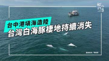 被填海的日子：台中港與台灣白海豚(公視我們的島 第1354集 2026-04-20)