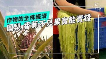 作物的全株經濟：從循環經濟到全株利用的農業剩餘物(公視我們的島 第1363集 2026-06-22)