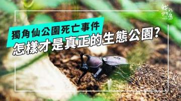 獨角仙公園死亡事件｜怎樣才是真正的生態公園？(公視我們的島 第1367集 2026-07-20)