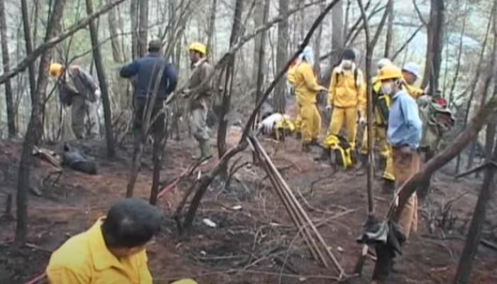 高山農業 Page 3 我們的島