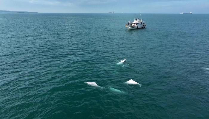 影像提供／簡毓群